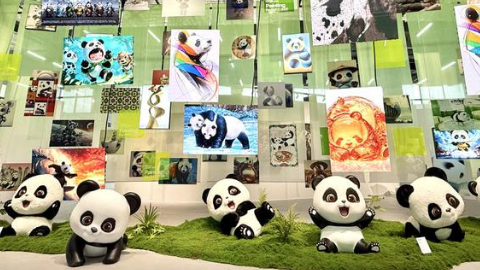 国货潮品实力圈粉中国品牌向新而行